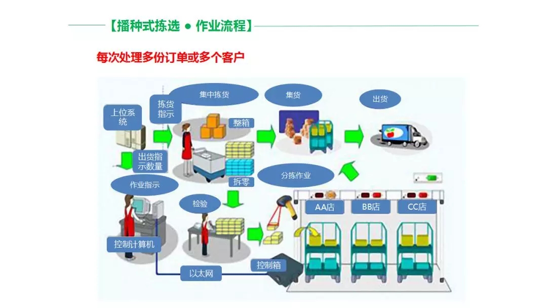 生鲜配送学院丨食材配送学院学习资料丨蔬菜配送学习材料